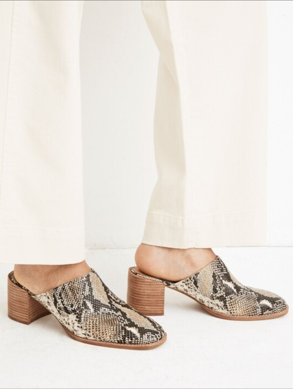 Madewell The Carey Mule in Snake Embossed Leather 8.5